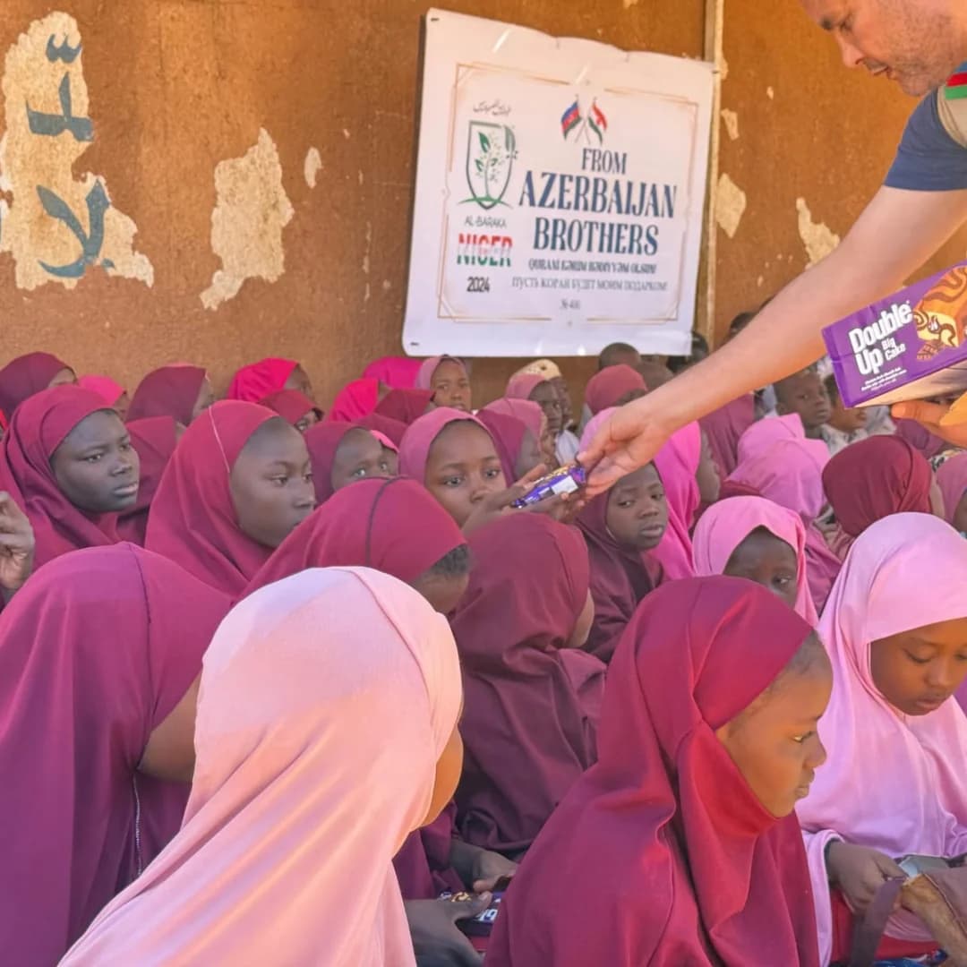 Aid project №2024 — Niger