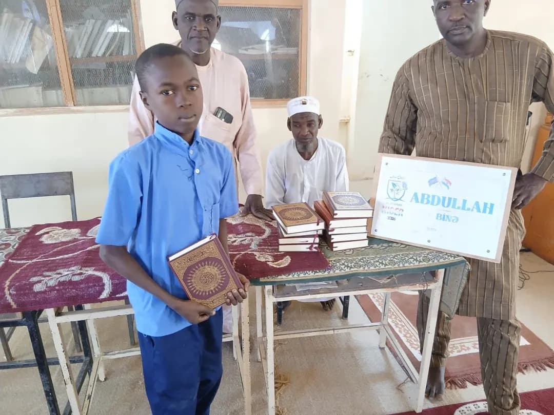 Aid project №874 — Niger