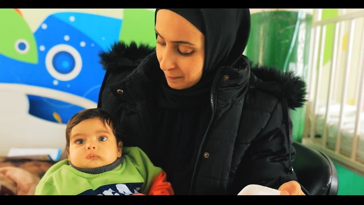 Aid project №749 — Gaza (Palestine)
