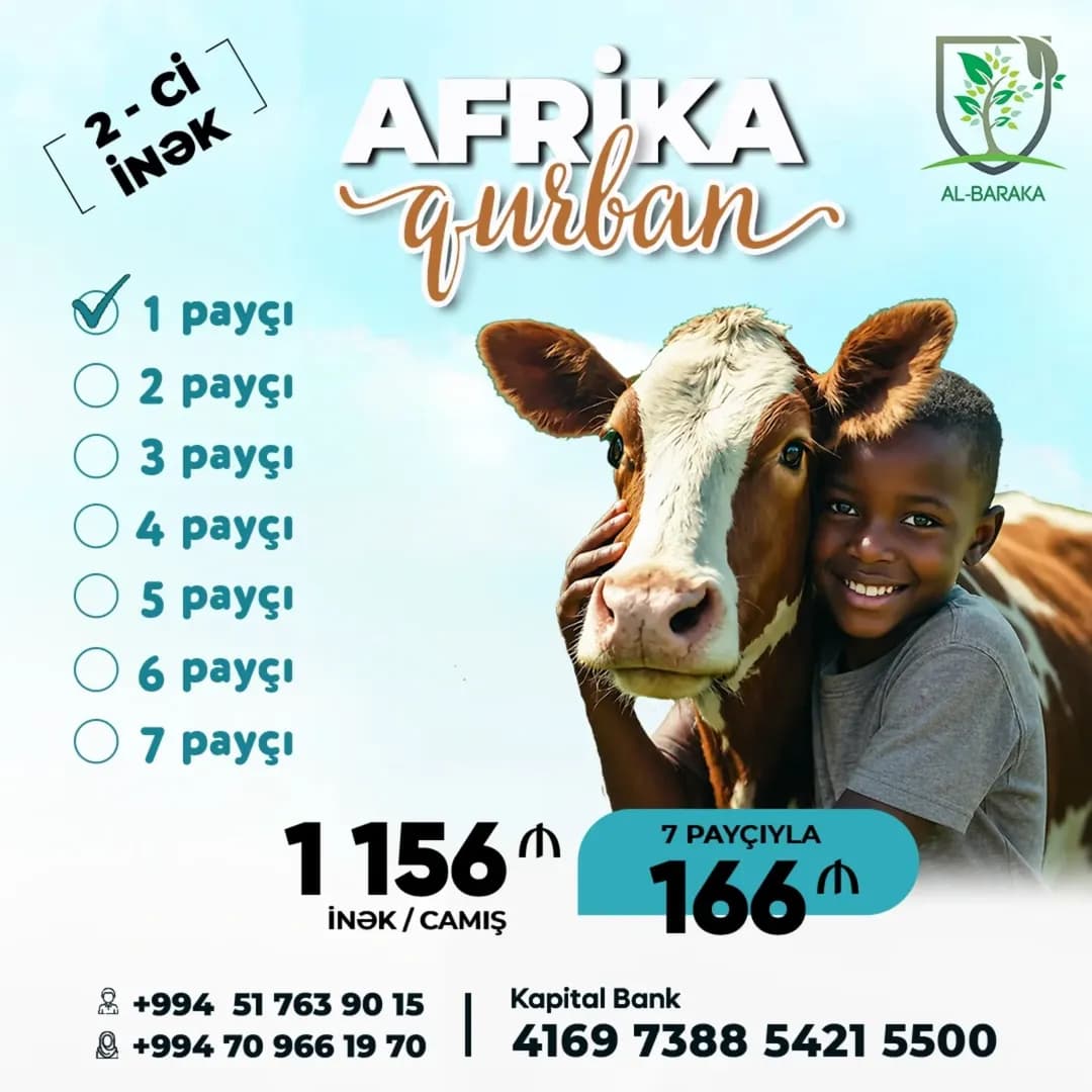 Afrika üçün 2-ci inək Qurbanı
