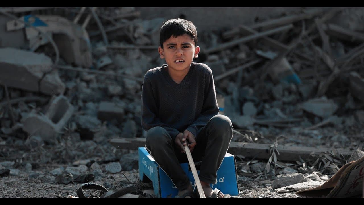 Gaza № 355