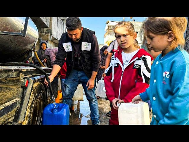 Gaza № 371