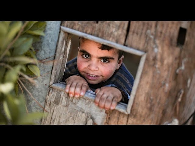 Gaza № 359