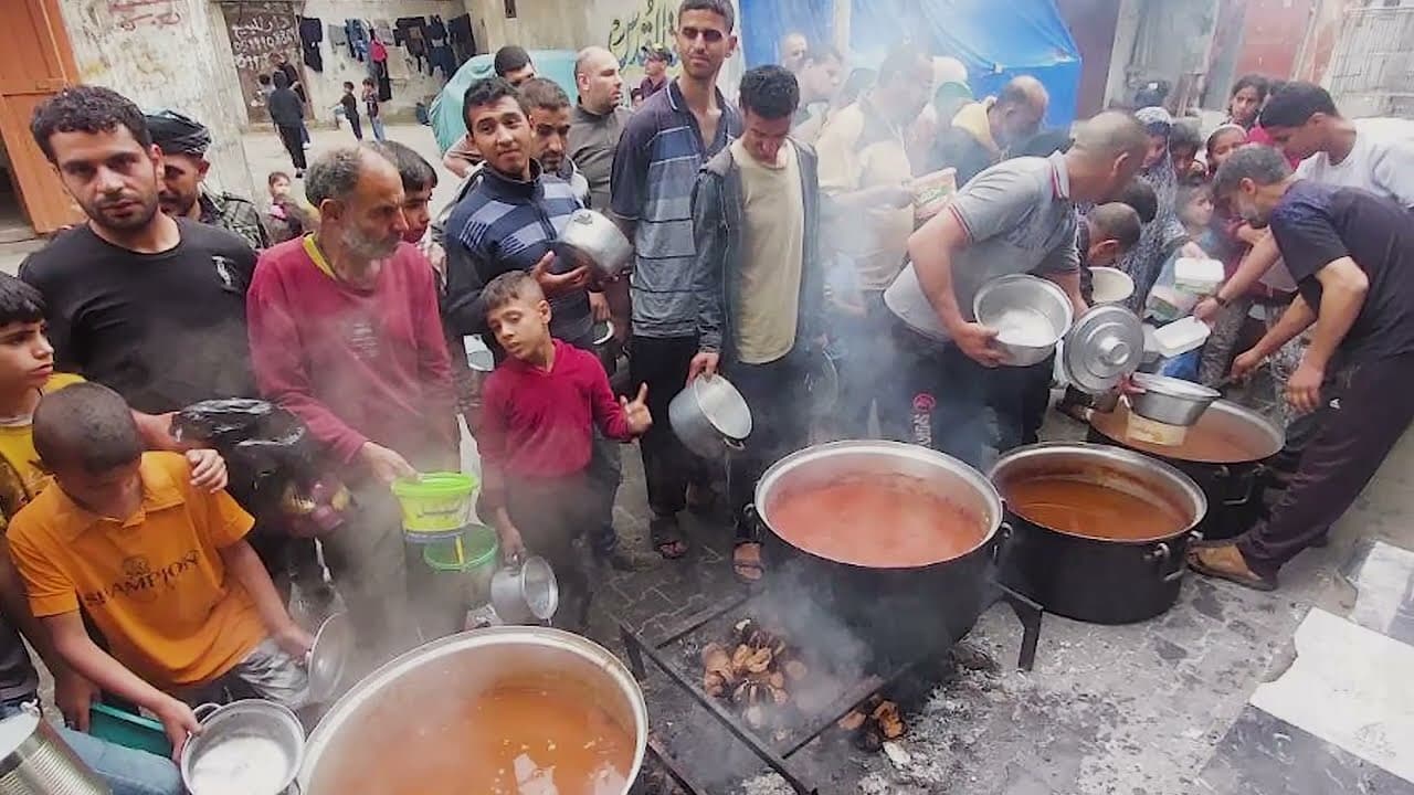Gaza № 250
