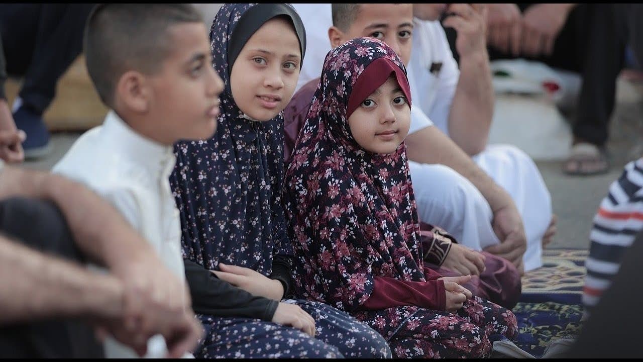 Gaza № 348