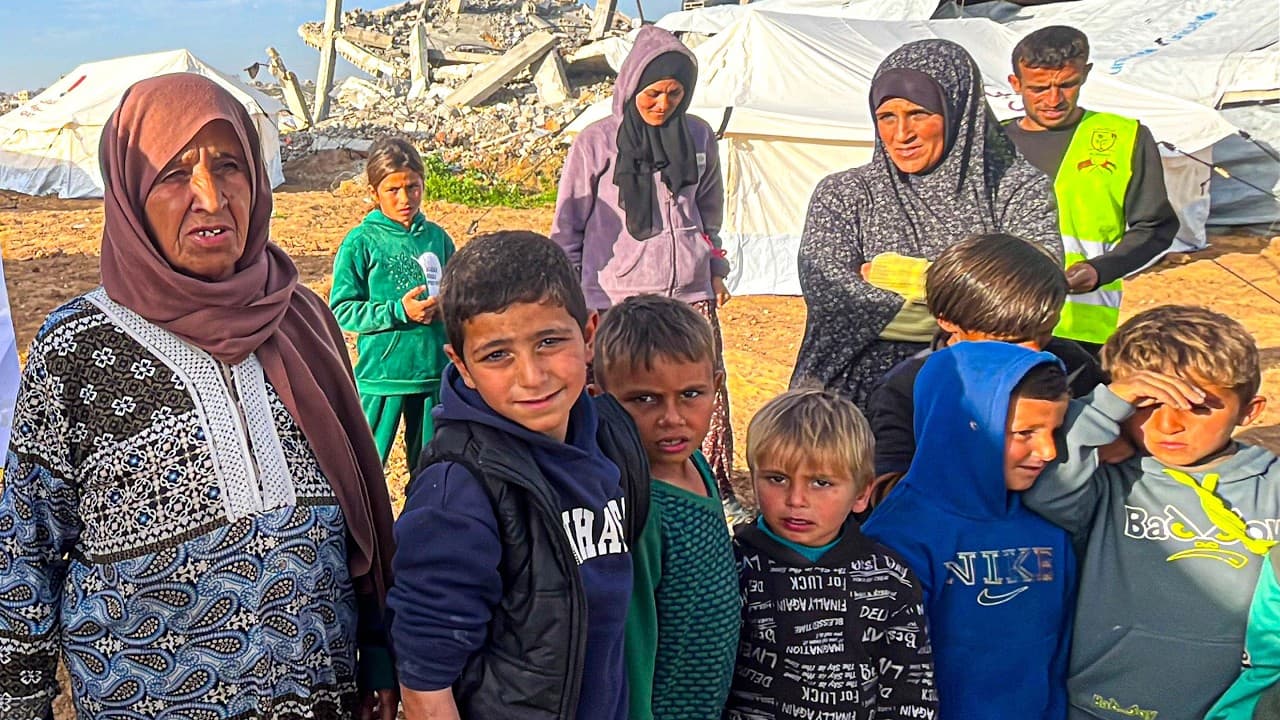 Aid project №842 — Gaza (Palestine)
